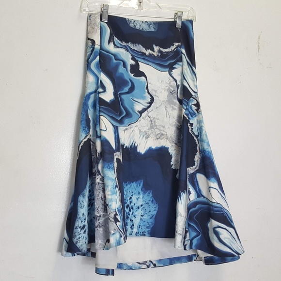 cameo Dresses & Skirts - Cameo  Full Skirt Hi Low Small